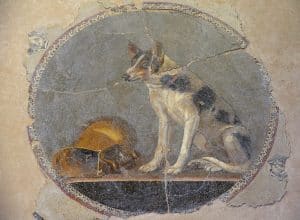 ancient Roman dog