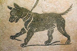 roman empire dog mosaic
